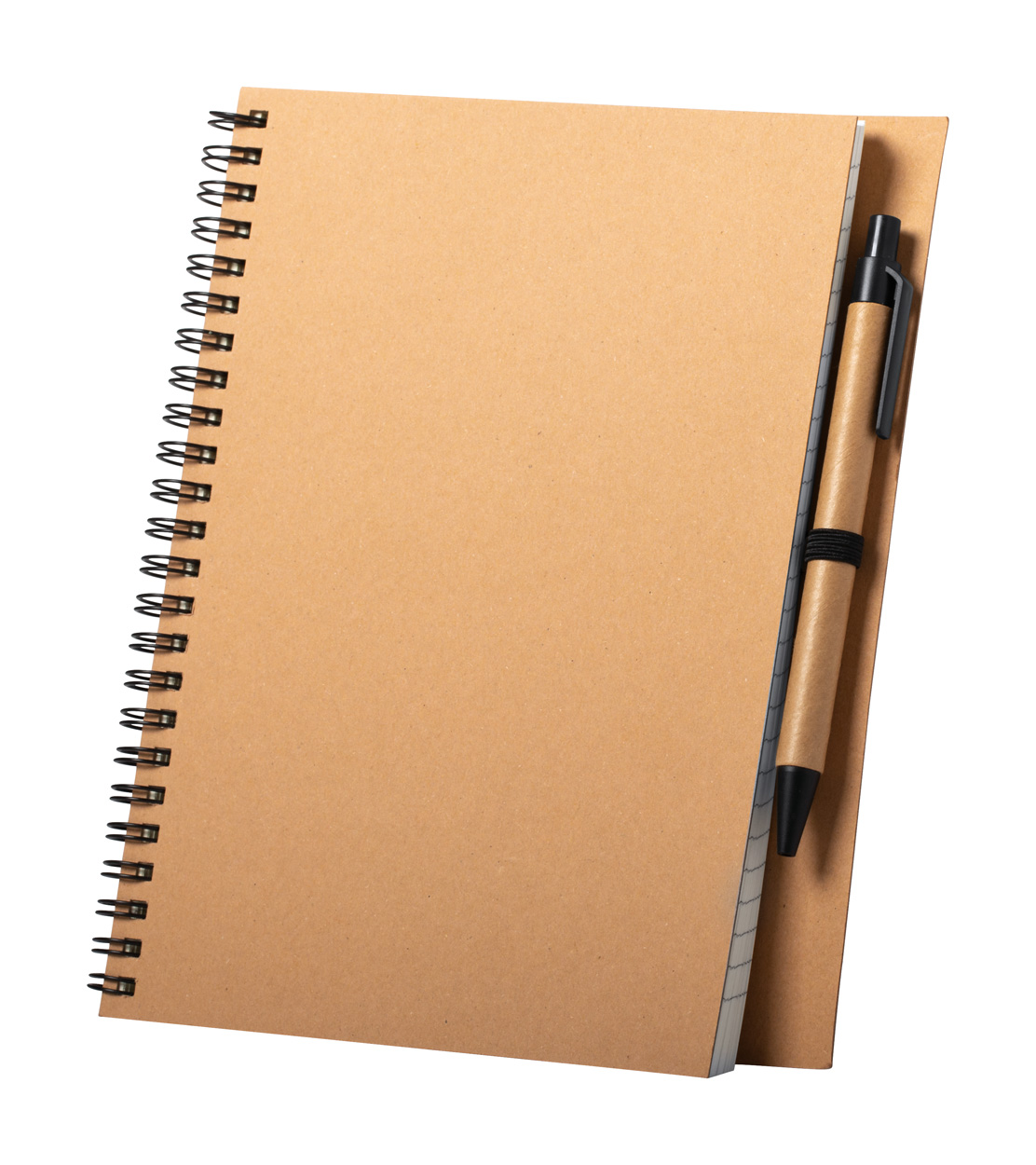 Salix notebook