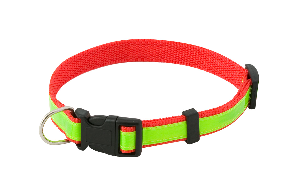 Muttley visibility dog's collar