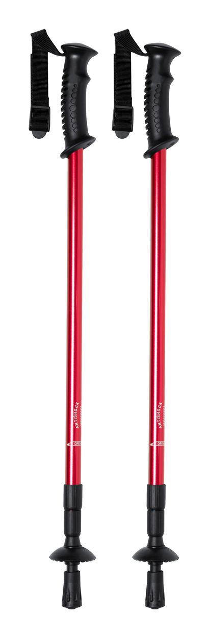 Brulen nordic walking sticks