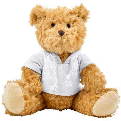 Teddy bear with hoodie