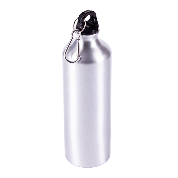 EASY TRIPPER water bottle 800 ml, silver