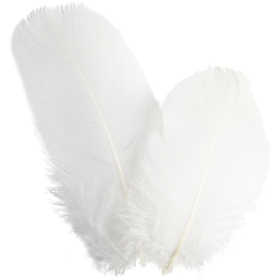 Goose feathers, round