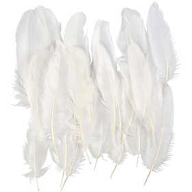 Feathers