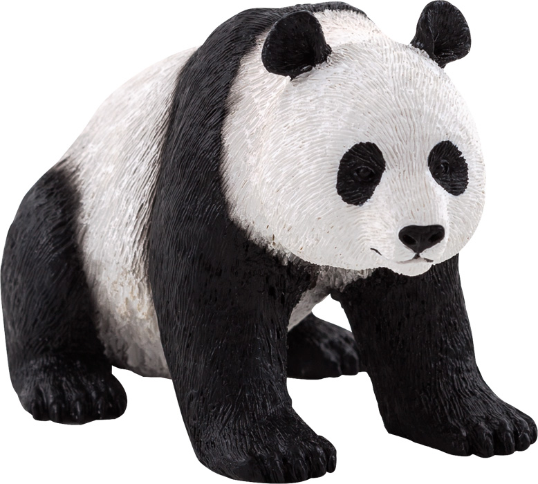 Giant Panda