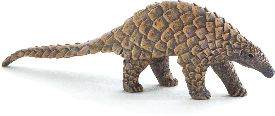 Indian Pangolin