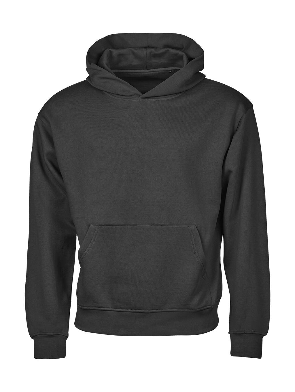 Urban Heavy Loose Fit Hooded Sweatshirt