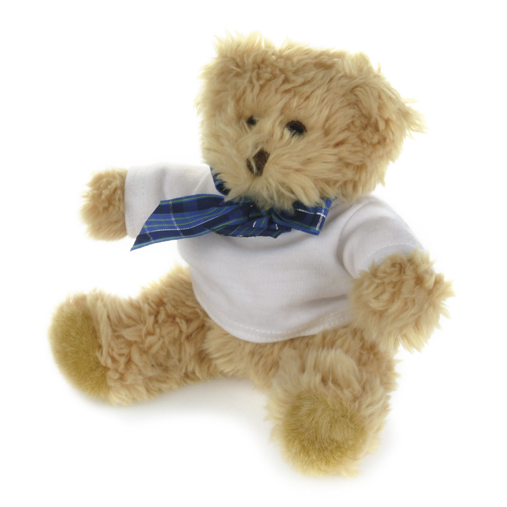 POLYESTER PLUSH BEAR WITH DRESSED T SHIRT