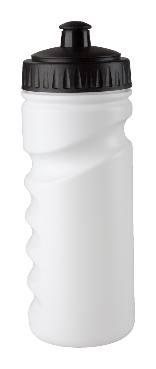 Iskan sport bottle