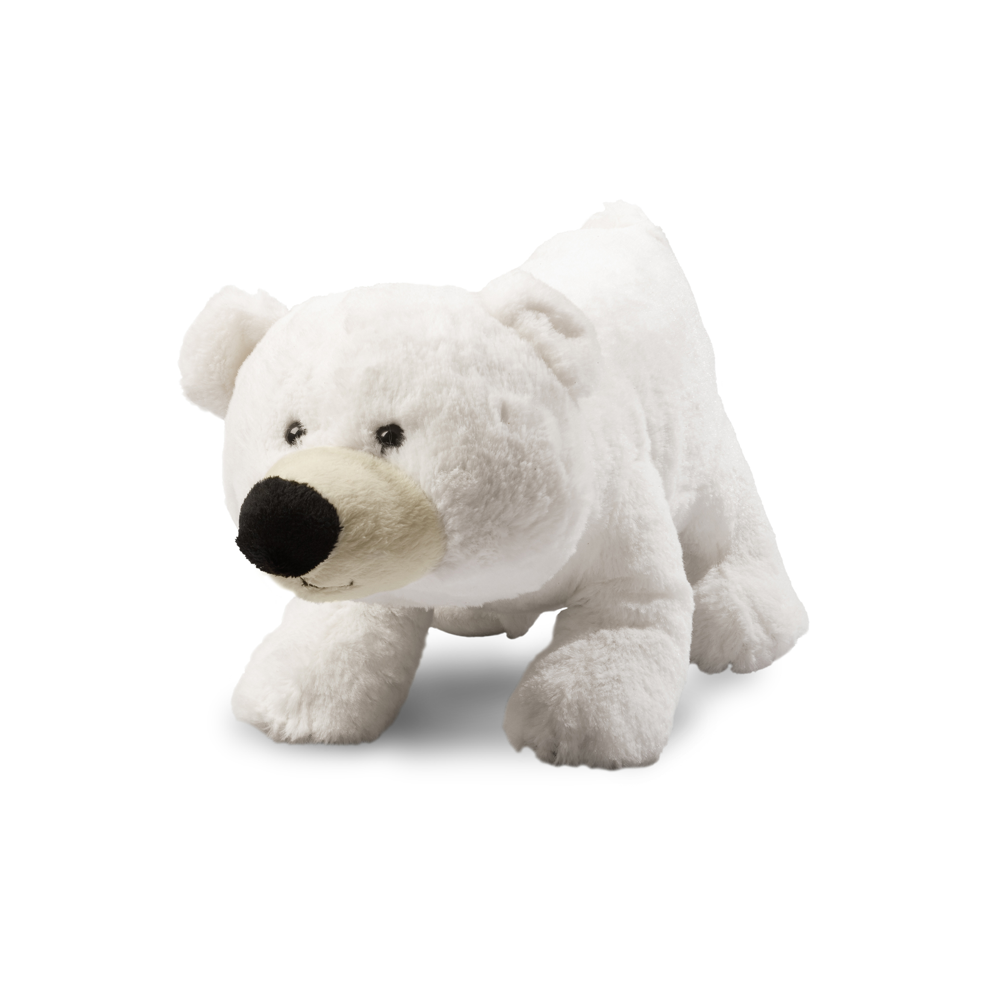 Polar bear Freddy