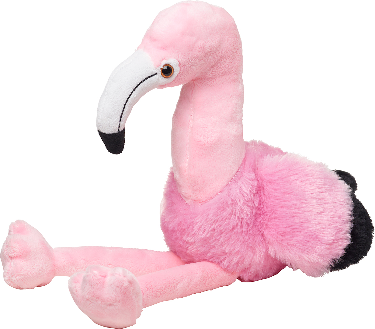 Flamingo Fernando