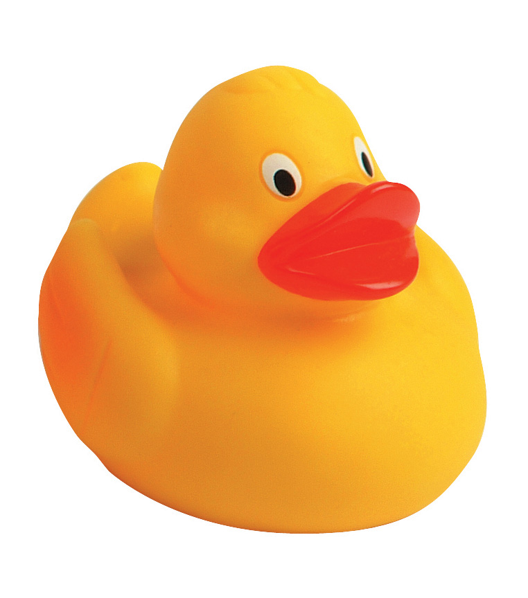 Squeaky duck