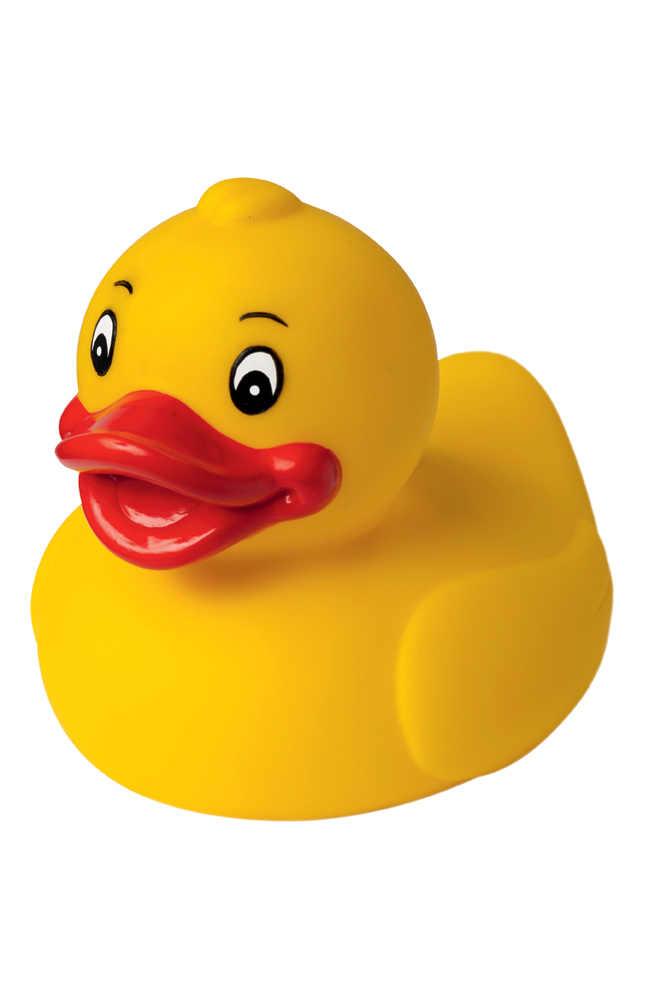 Squeaky duck