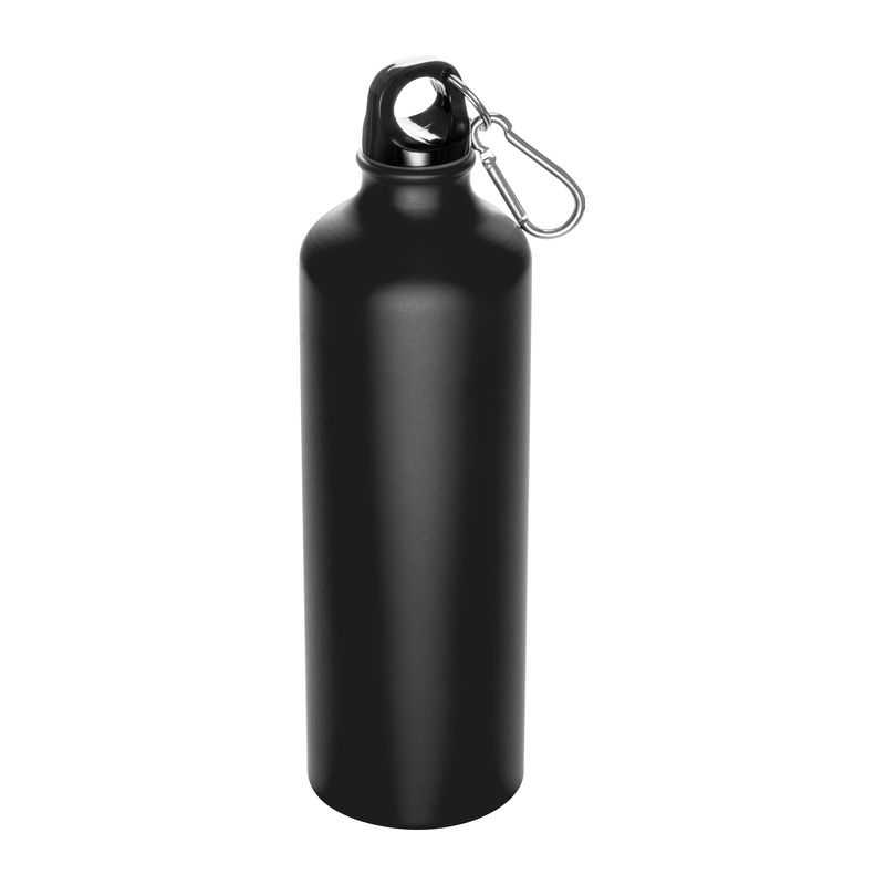 Metal drinking bottle with carabiner Brno 800 ml