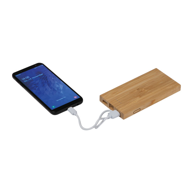 Bamboo power bank