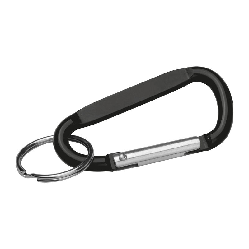 Snap hook keyring