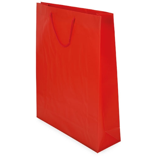 PVC GIFT BAG