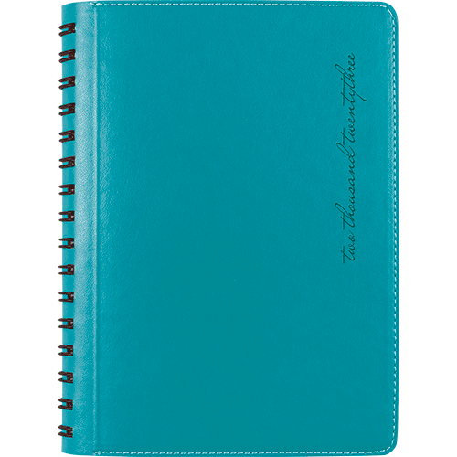 Agenda XPRESS, medium, nedatata, cod 109