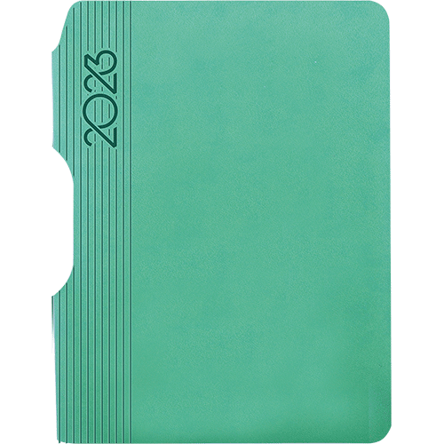 Agenda TWO PEN medium, datata, cod 215