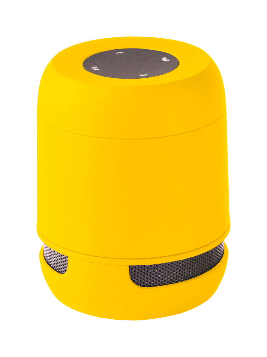 Braiss bluetooth speaker