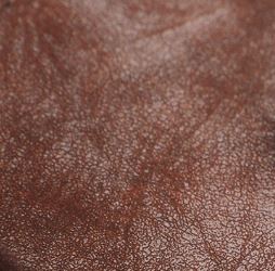 RUST eco-leather